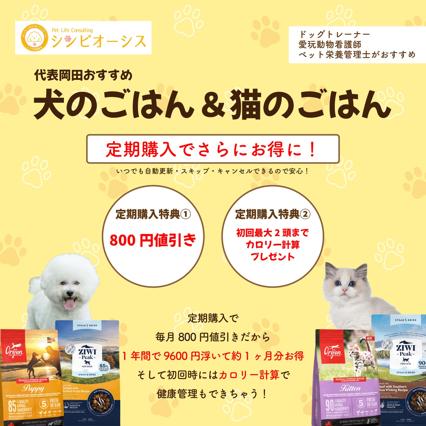 【キャットフード】オリジン レジオナルレッドキャット ※メーカー取り寄せ品