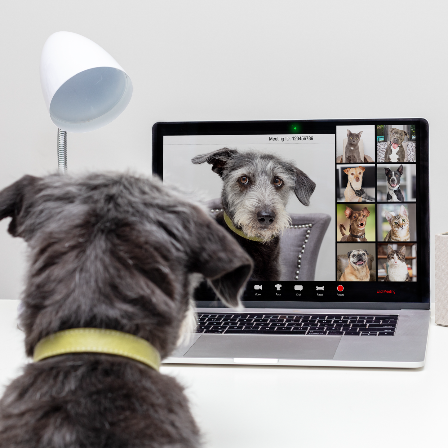 【個別相談】オンライン相談サービス