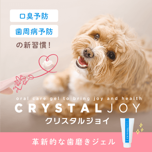 【犬猫用品】犬猫用歯磨きジェル!クリスタルジョイ(CRYSTAL JOY)