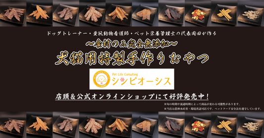 【お知らせ】リニューアルオープンいたしました