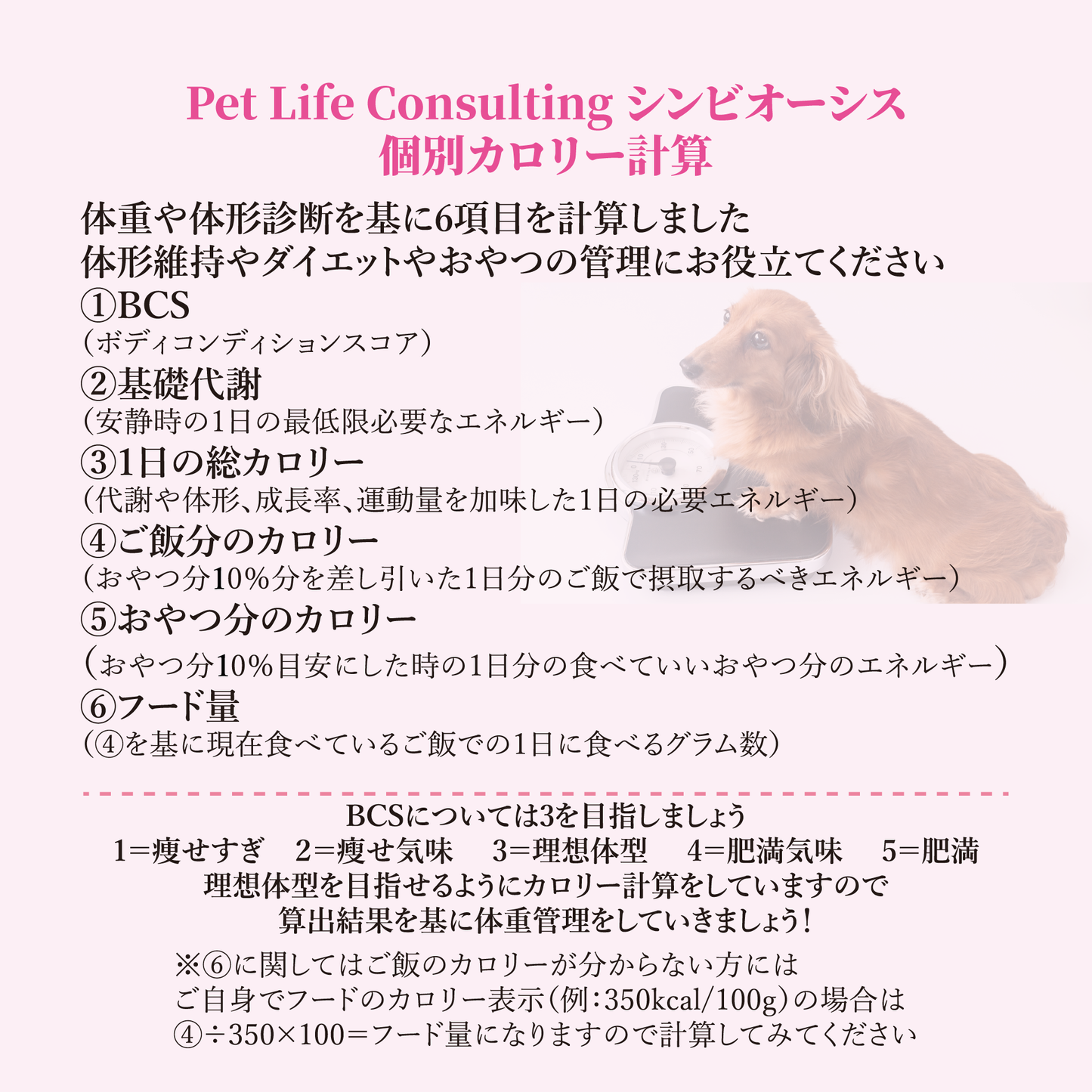 【個別相談】カロリー計算