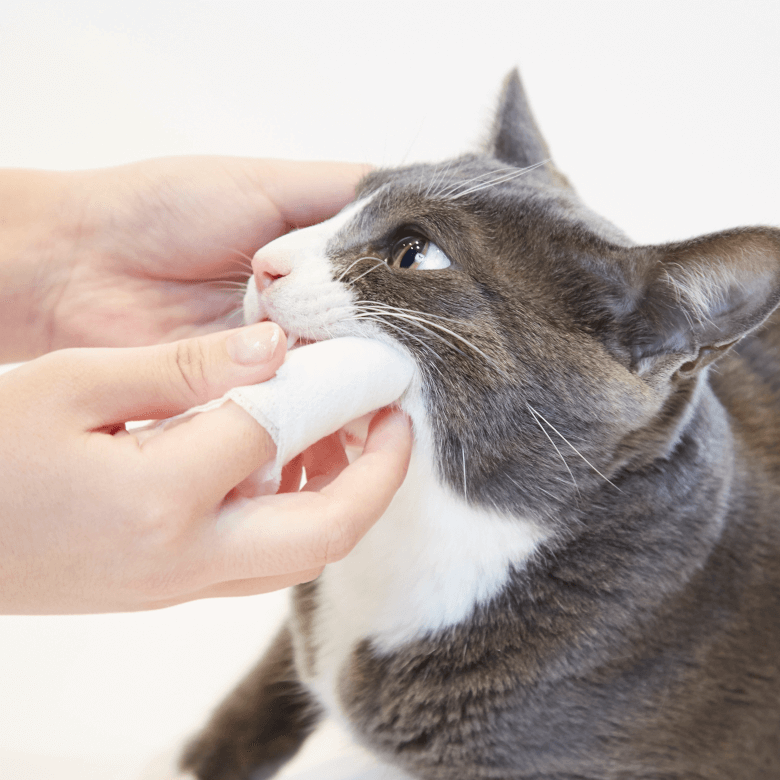 【犬猫用品】犬猫用歯磨きジェル！クリスタルジョイ（CRYSTAL JOY）